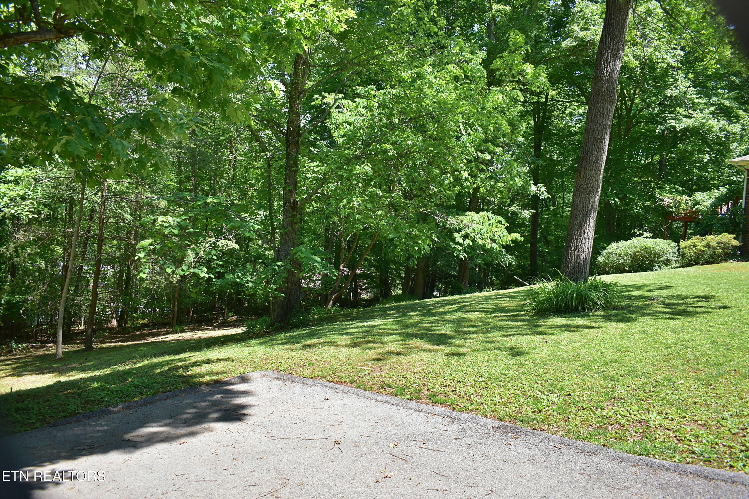 129 Jefferson Street Harrogate, TN 37752 - Photo 14 of 51 DSC_0015