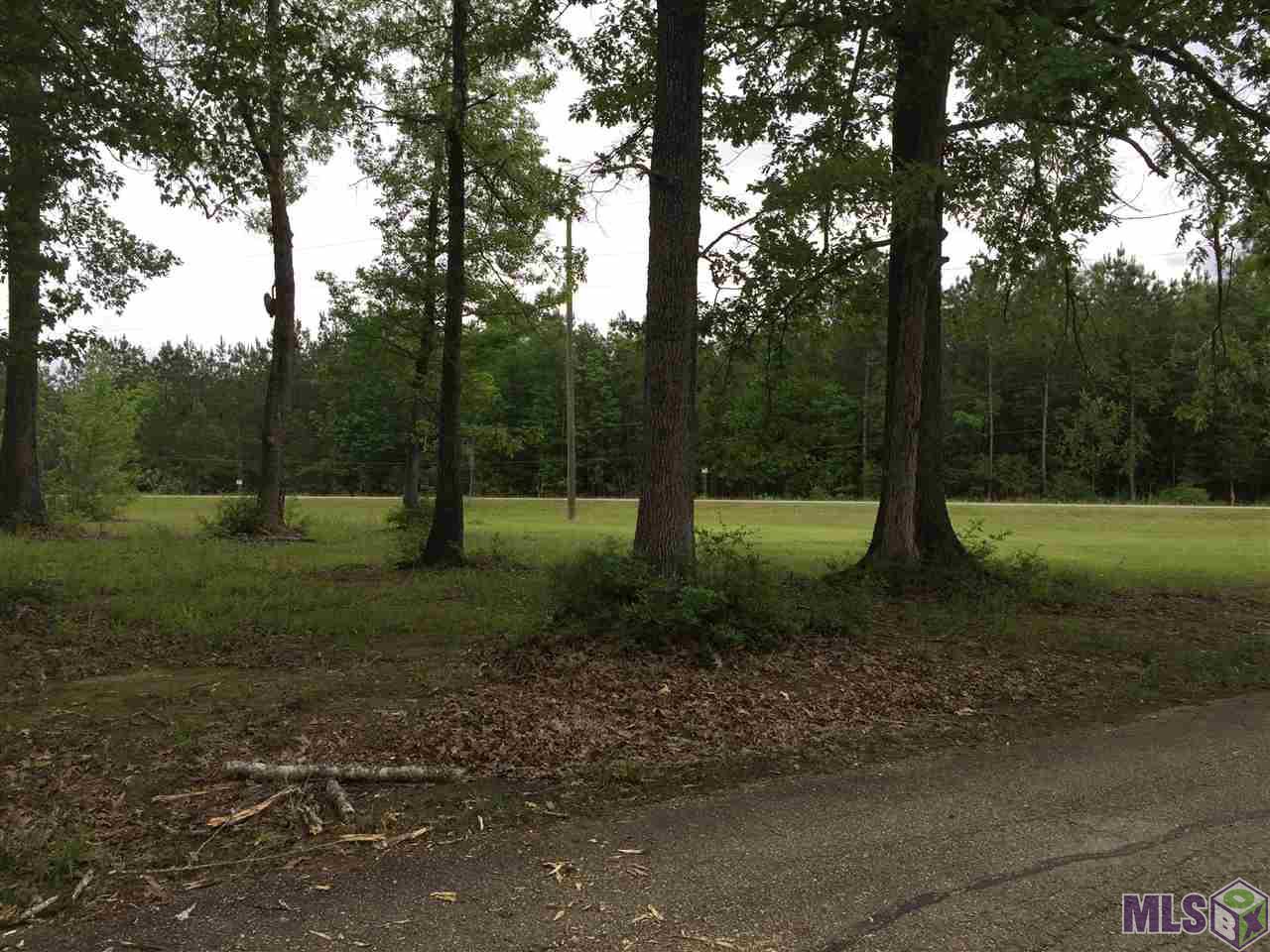 1 Tickfaw Road Springfield, LA 70462 - Photo 3 of 3 Gallery Image 3