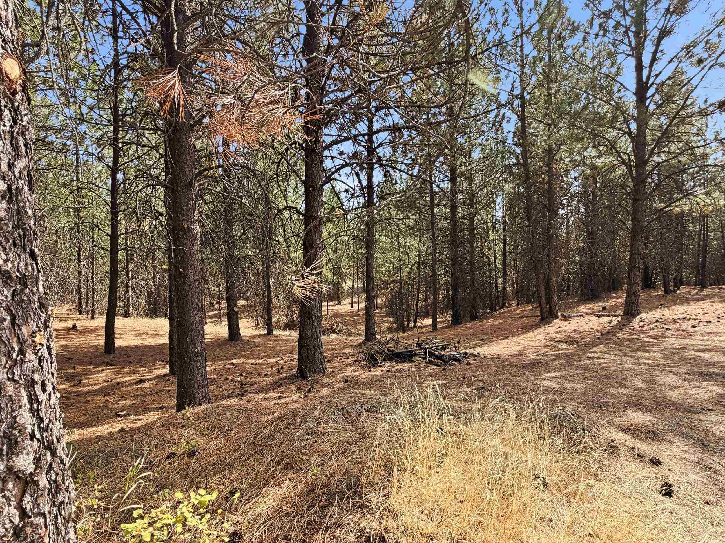 11612 East Laurel Road Elk, WA 99009 - Photo 14 of 22 Gallery Image 14