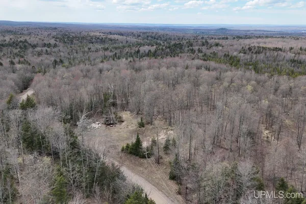 $79,900 | Tbdne Dog Patch Road, Lanse, MI 49946