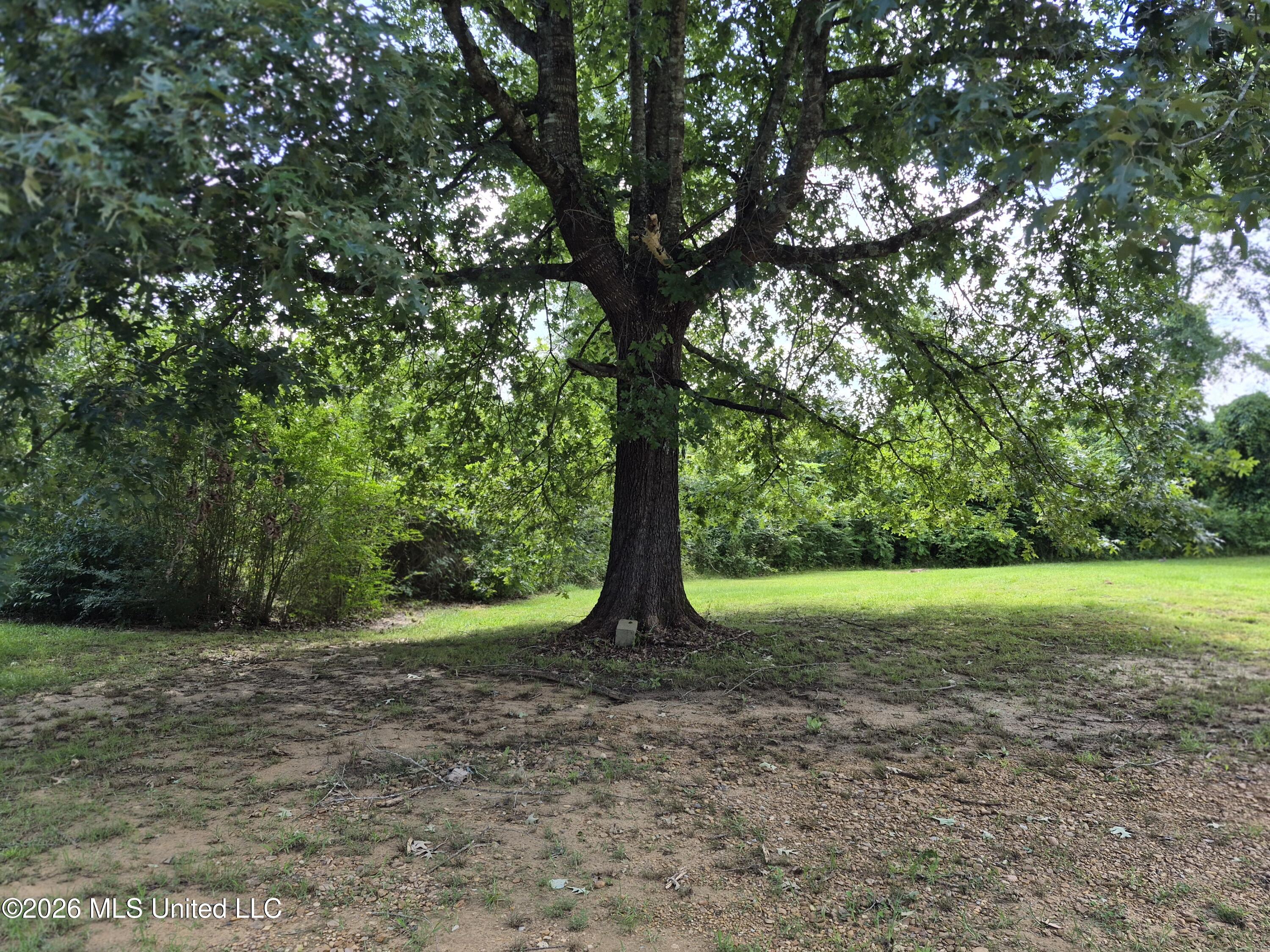 1200 Chetwood Road Carthage, MS 39051 - Photo 10 of 19 9365