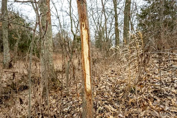 $1 | 0 County Road 277, Kahoka, MO 63445