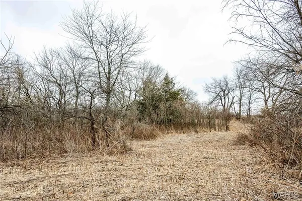 $1 | 0 County Road 277, Kahoka, MO 63445