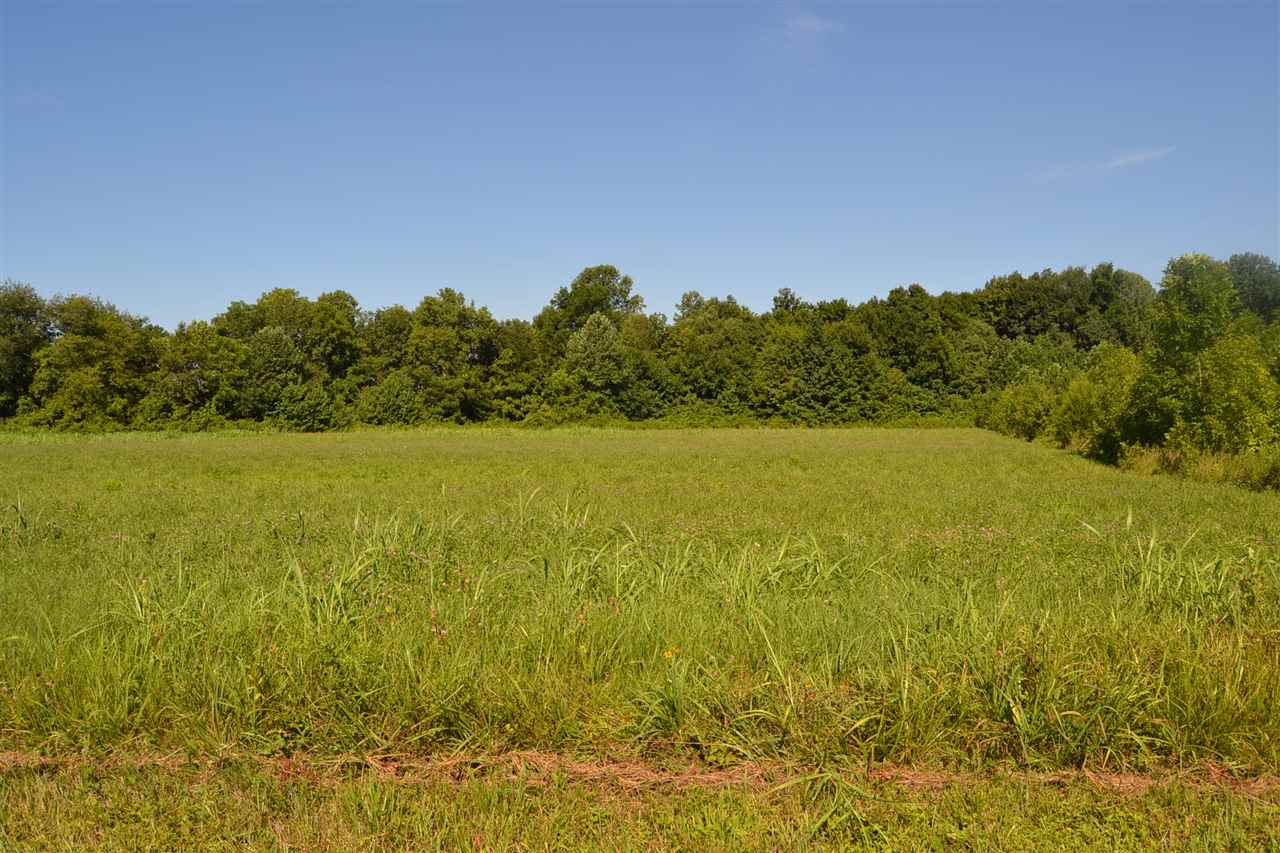 0 Patterson Road Smiths Grove, KY 42171 - Photo 4 of 9 Gallery Image 4