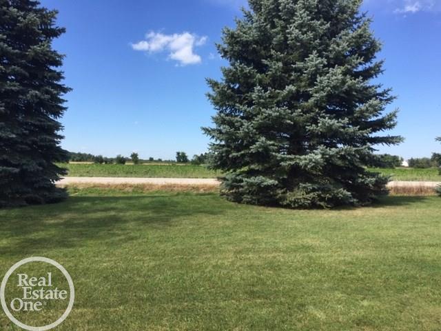 4775 McIntyre Road North Street, MI 48049 - Photo 66 of 69