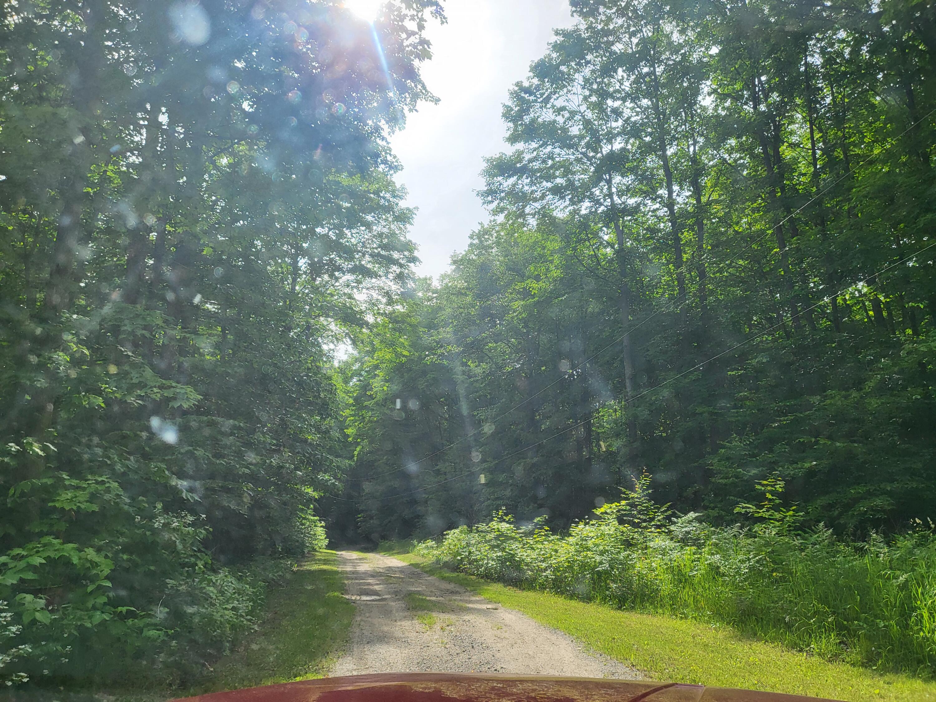 9933 North Roberts Road Frederic, MI 49733 - Photo 7 of 61 1000017031