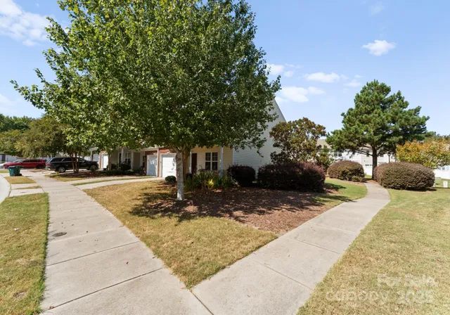 a view of a park with plants and trees