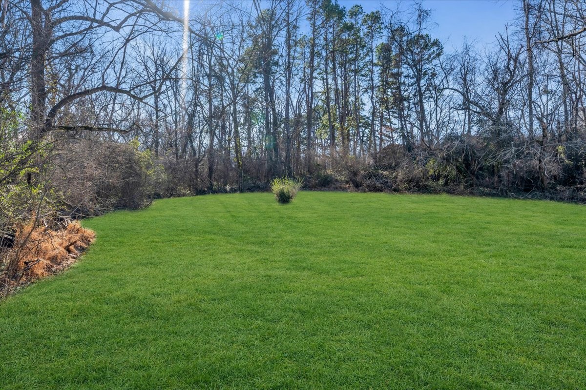 361 Tusculum Road Nashville, TN 37211 - Photo 31 of 42 a view of a park with large trees