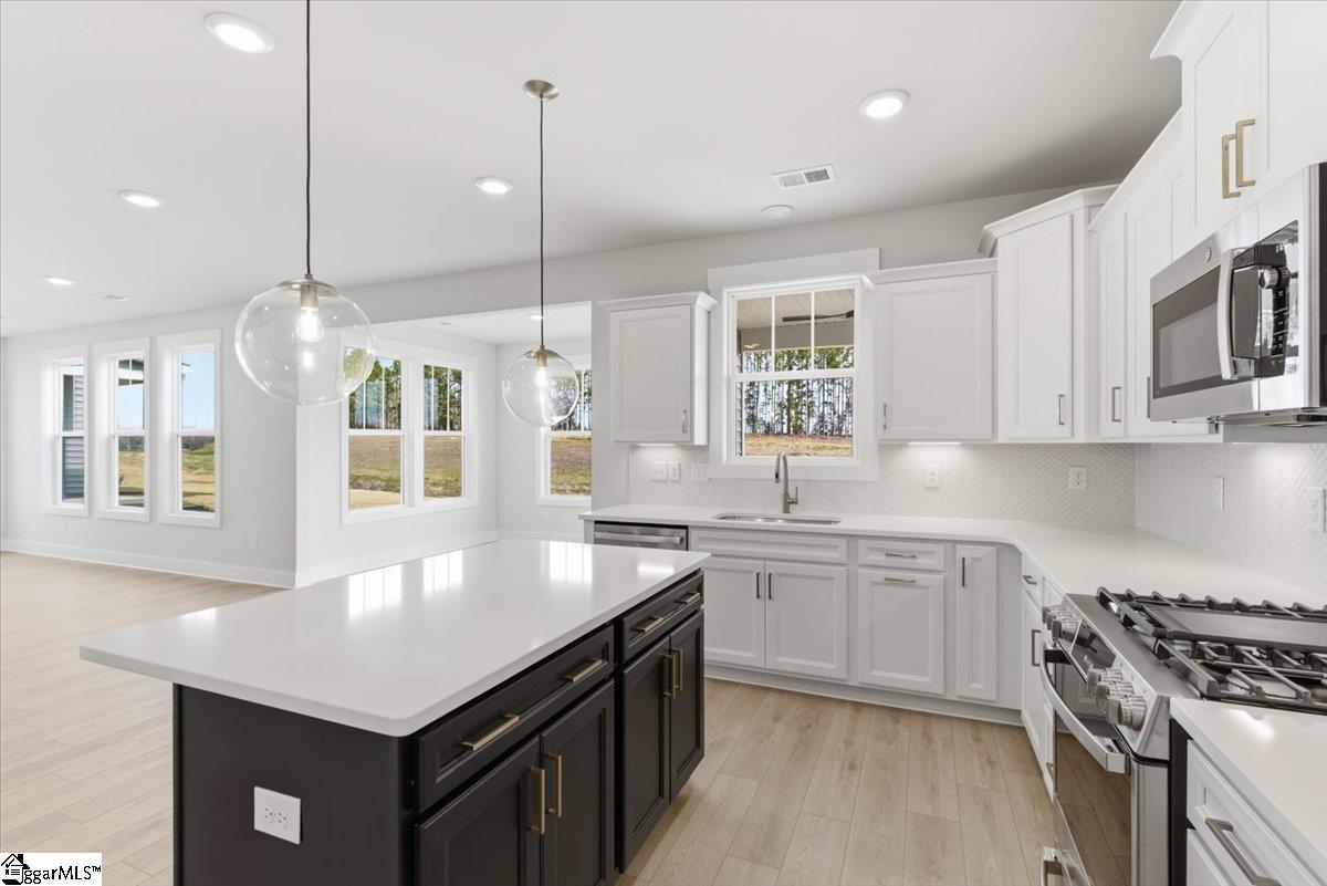 116 Terpack Circle Gray Court, SC 29645 - Photo 8 of 34 Gallery Image 8