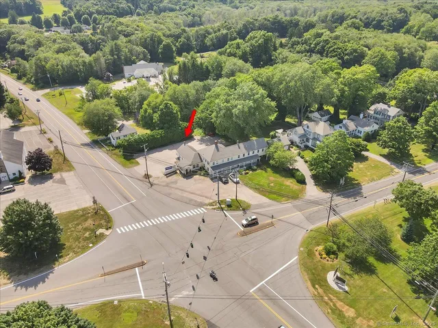 a view of a yard with flower plants