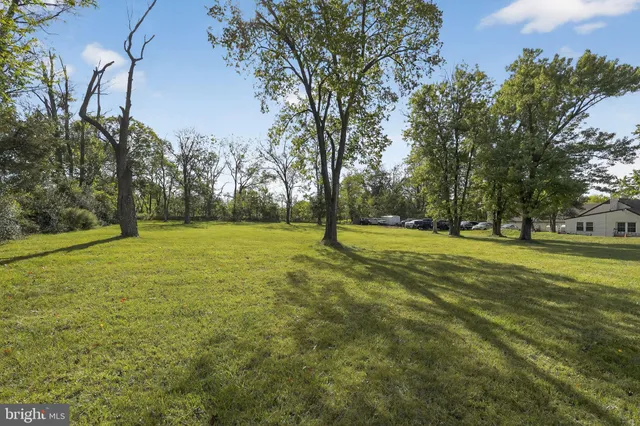 a view of a trees in a yard