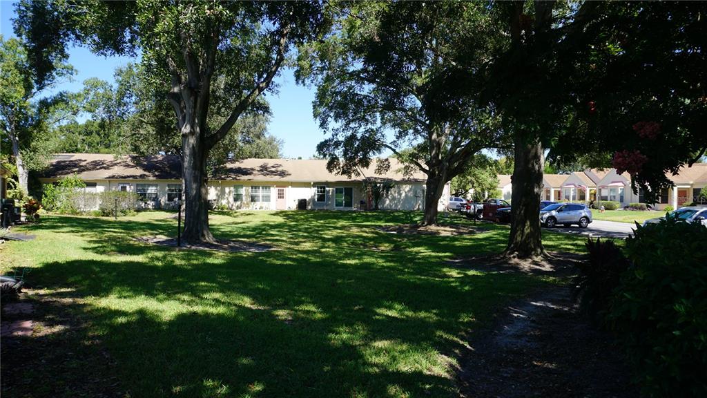 11241 Versailles Lane Port Richey, FL 34668 - Photo 25 of 38 a view of yard with green space