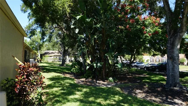 a view of a yard with plants and large trees