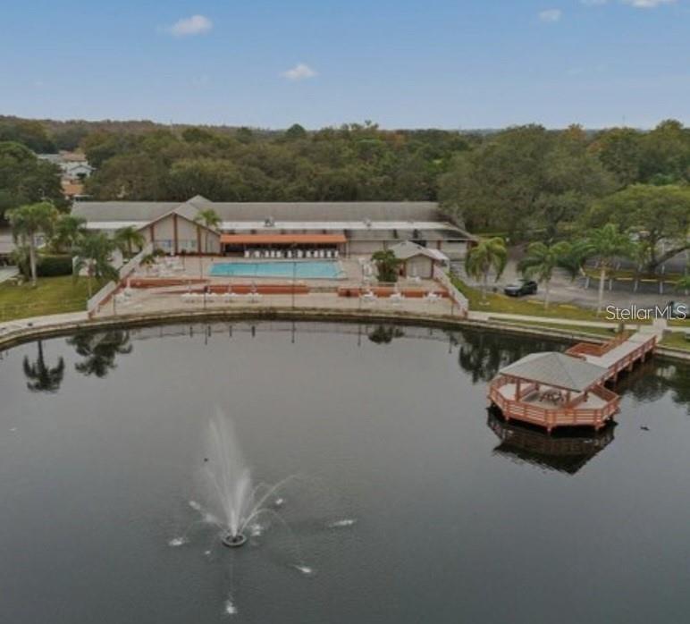 11241 Versailles Lane Port Richey, FL 34668 - Photo 34 of 38 a view of a lake with multiple cars parked
