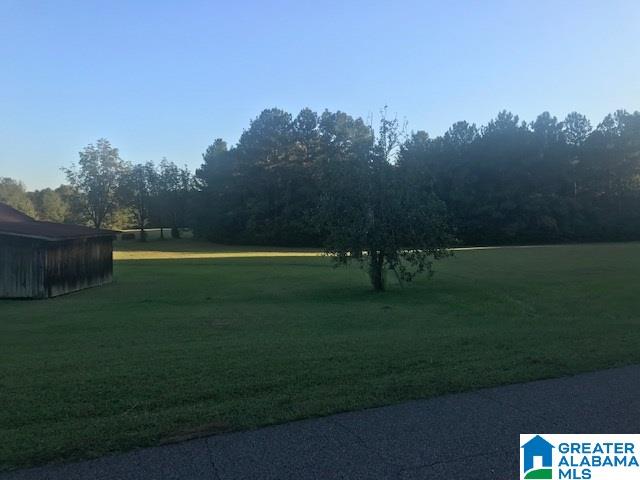 320 Saragossa Road Jasper, AL 35503 - Photo 10 of 17 Gallery Image 10