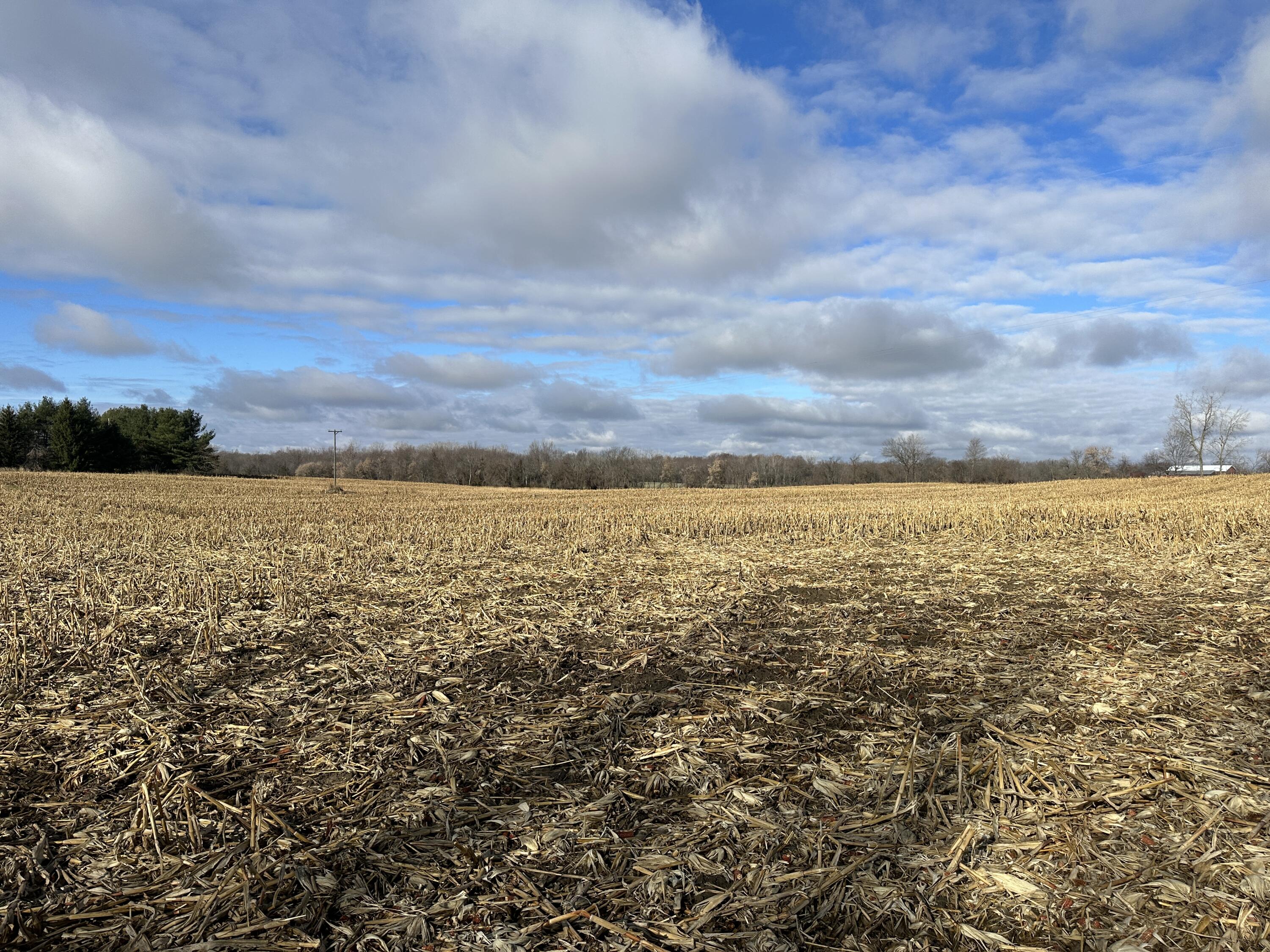 Culbert Road Osseo, MI 49266 - Photo 8 of 11 IMG_6974