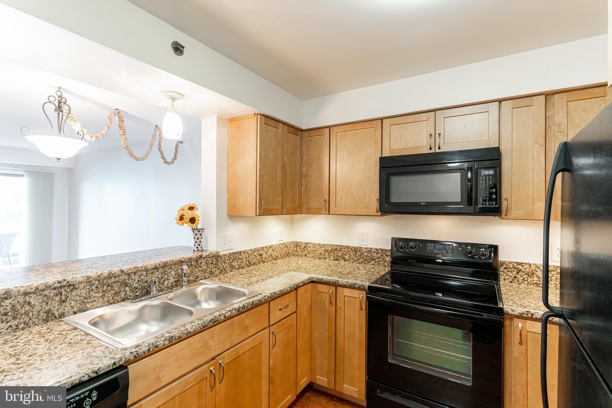 545 East Braddock Road, Unit 404 Alexandria, VA 22314 - Photo 3 of 36