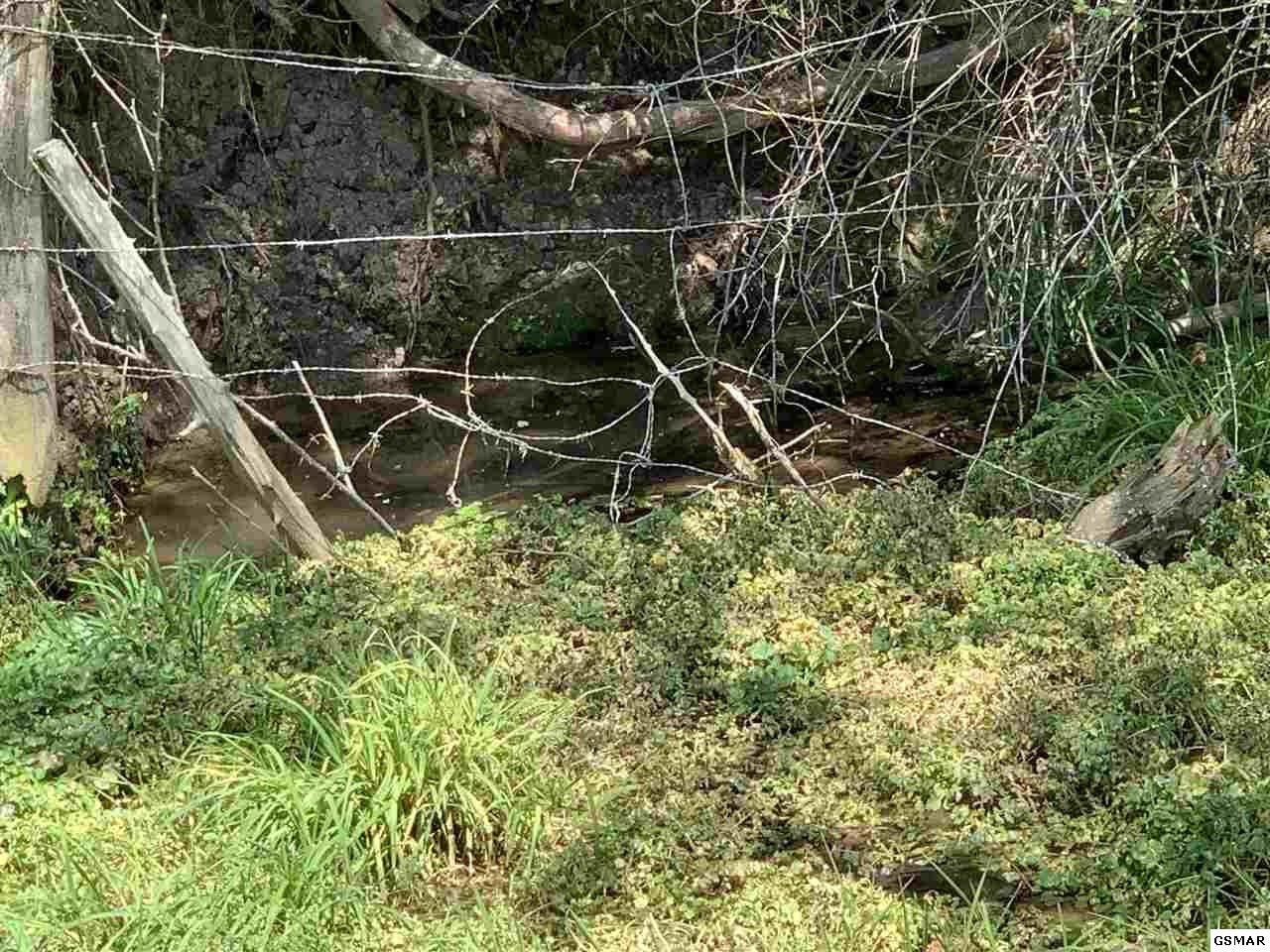617 War Creek Road Eidson, TN 37731 - Photo 14 of 35