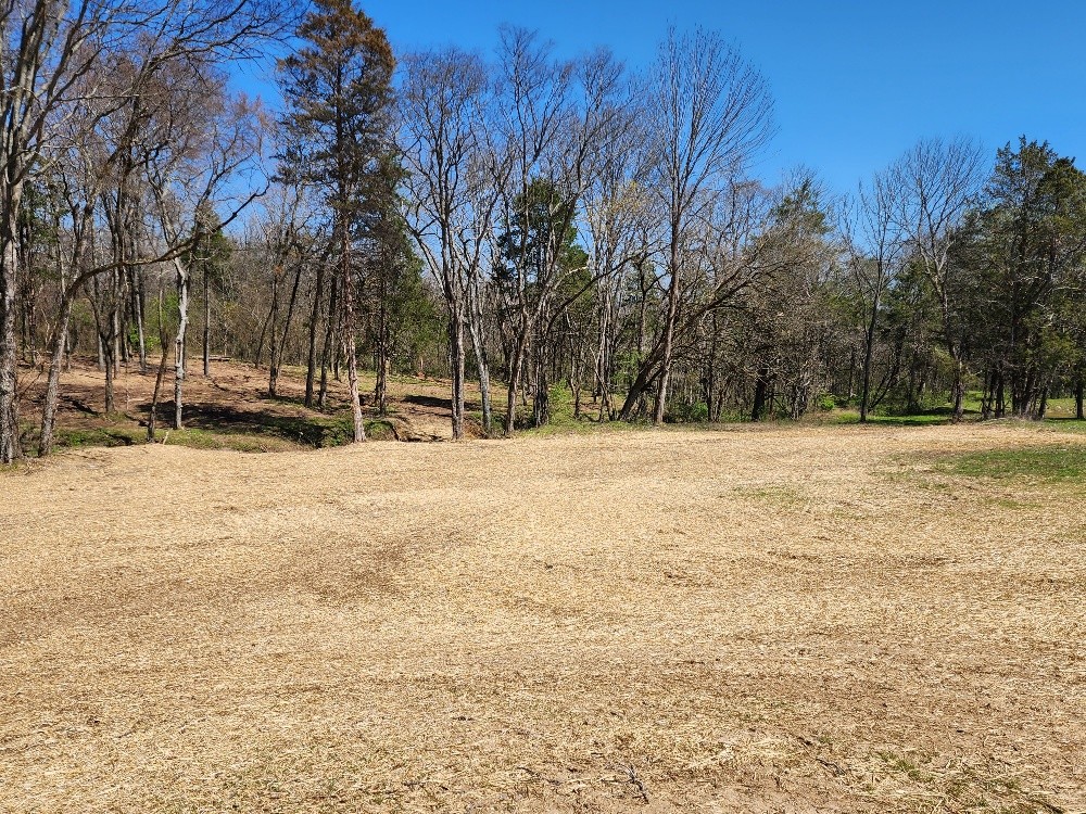 670 Armstrong Road Castalian Springs, TN 37031 - Photo 5 of 25 a view of side of snow with trees