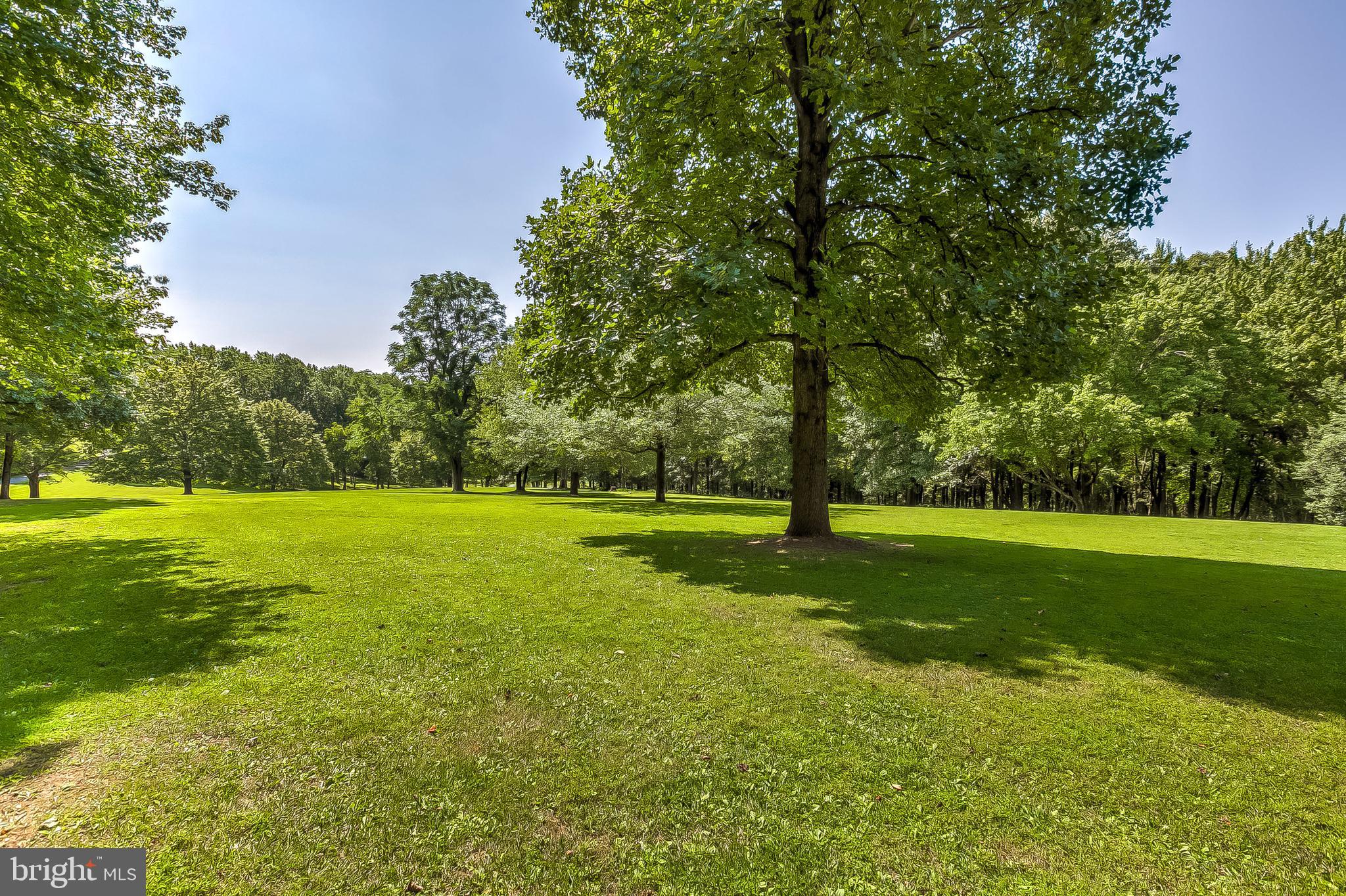 17540 Old Frederick Road Mount Airy, MD 21771 - Photo 51 of 56 Yard