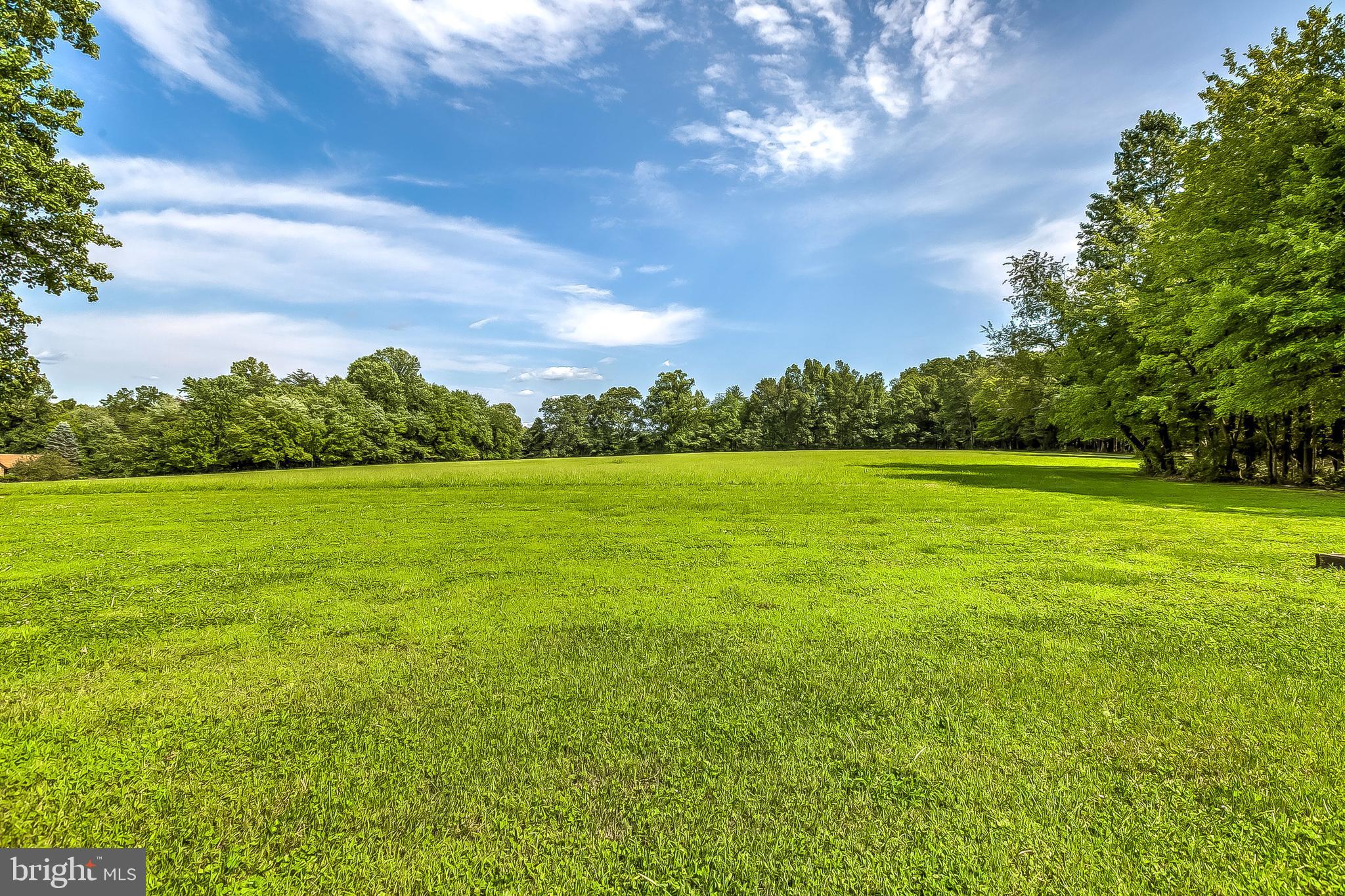 17540 Old Frederick Road Mount Airy, MD 21771 - Photo 53 of 56 Yard