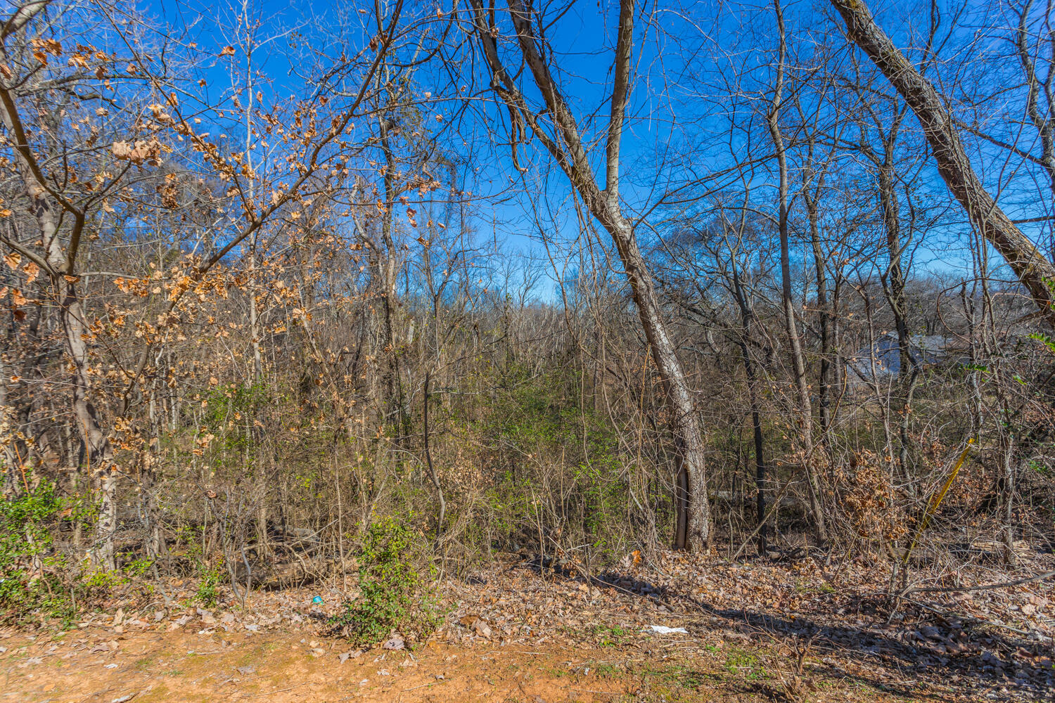 0 Ridge Lake Road Hixson, TN 37343 - Photo 10 of 12 Ridge Lake Lot HD-3