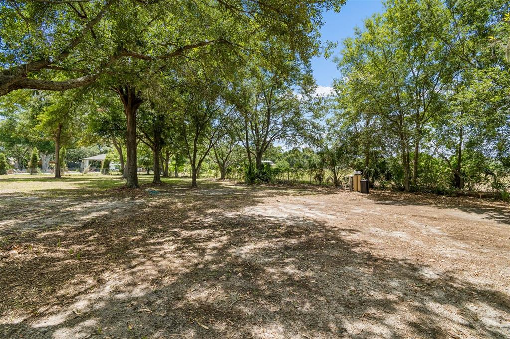 9619 Springbrook Drive Riverview, FL 33578 - Photo 47 of 55