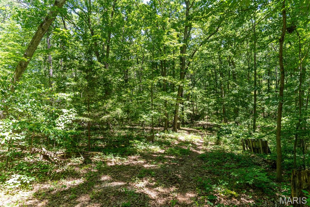 0 Lodge Road Bourbon, MO 65441 - Photo 6 of 18