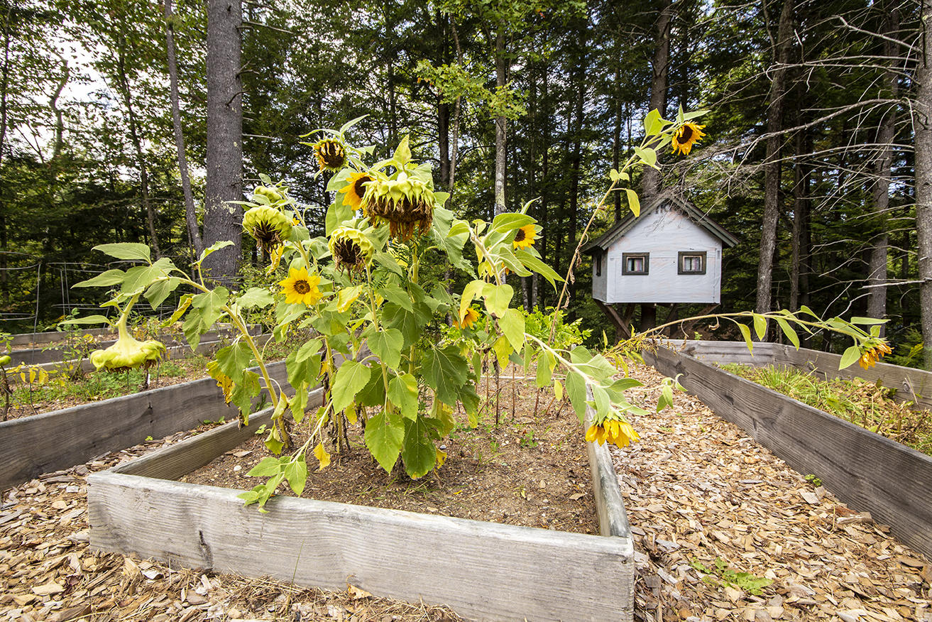 187 Razorville Road Washington, ME 04574 - Photo 36 of 38 Raised Beds and Tree House