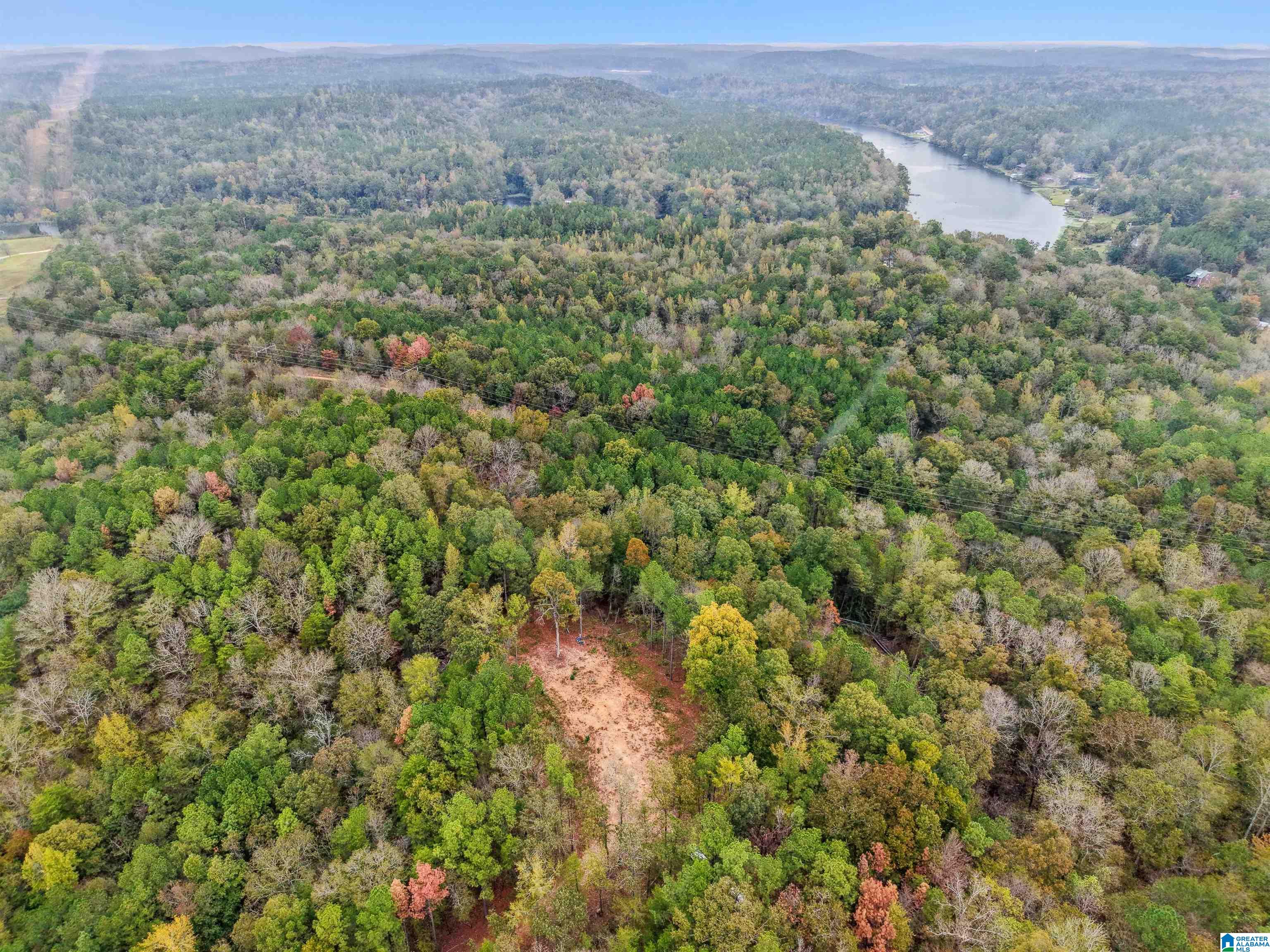 1215 Buddy Vines Camp Road Bessemer, AL 35023 - Photo 22 of 25