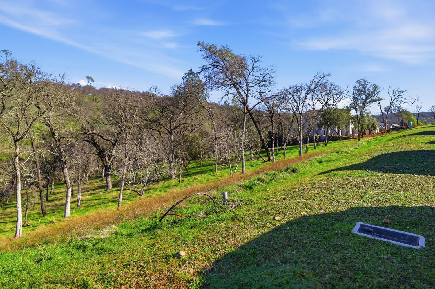 4135 Raphael Drive El Dorado Hills, CA 95762 - Photo 2 of 20 a view of a park with large trees