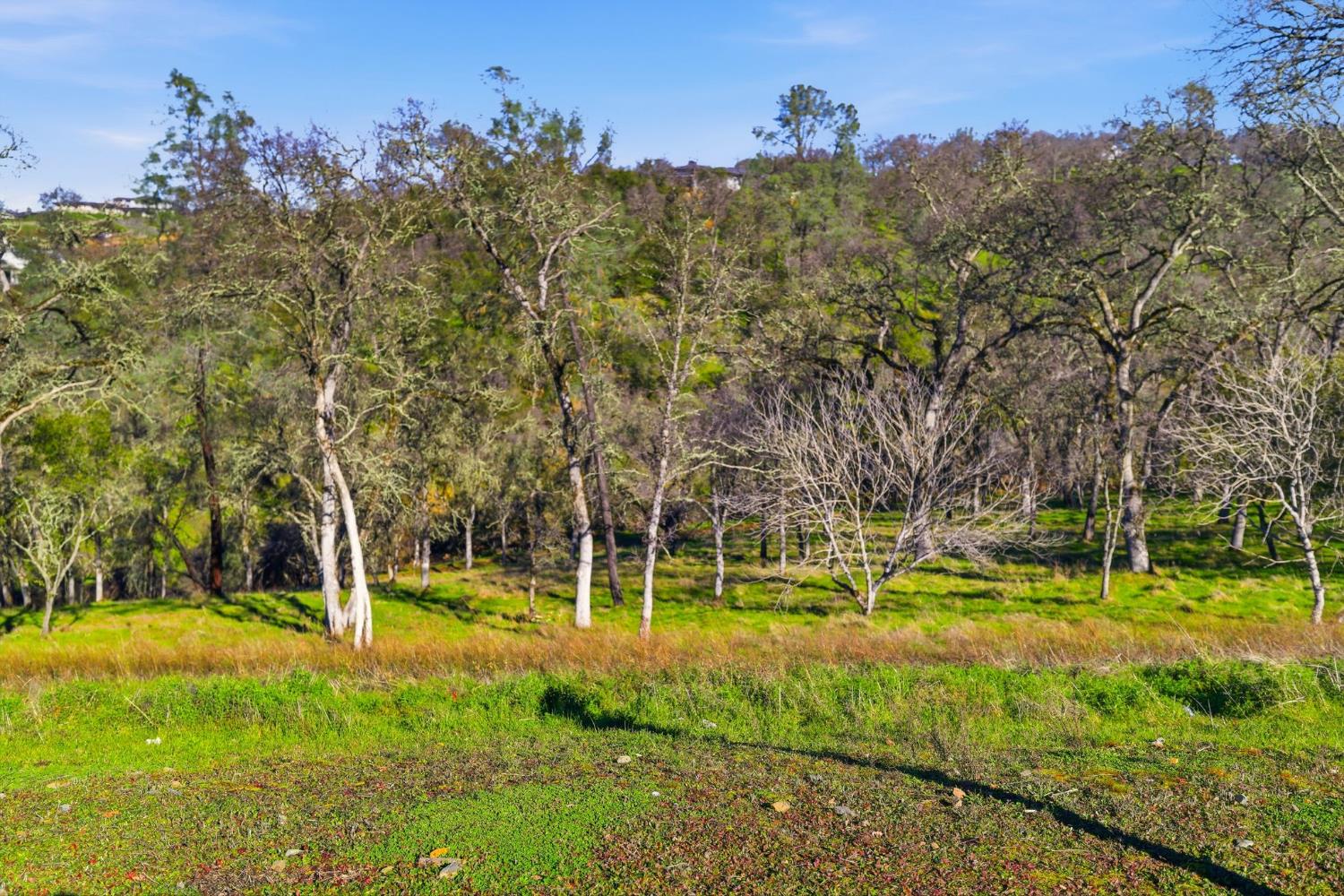 4135 Raphael Drive El Dorado Hills, CA 95762 - Photo 4 of 20 a view of a park with large trees