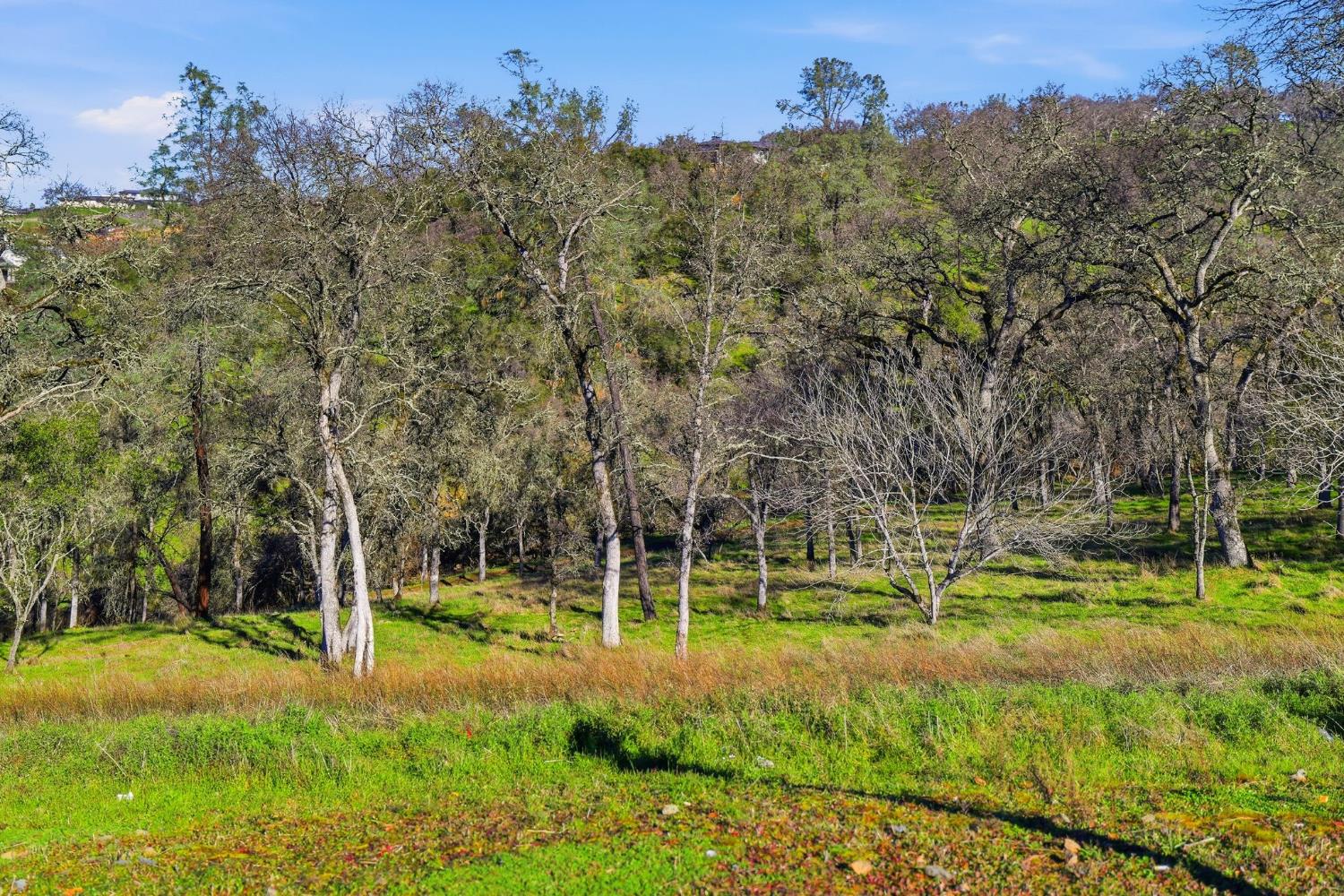4135 Raphael Drive El Dorado Hills, CA 95762 - Photo 5 of 20 a view of a park