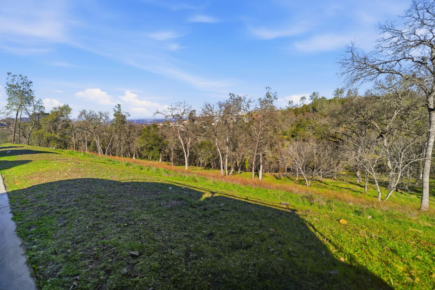 4135 Raphael Drive El Dorado Hills, CA 95762 - Photo 6 of 20 a view of a golf course with a yard