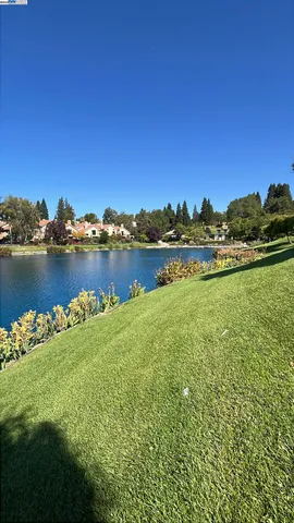 a view of a lake with a garden