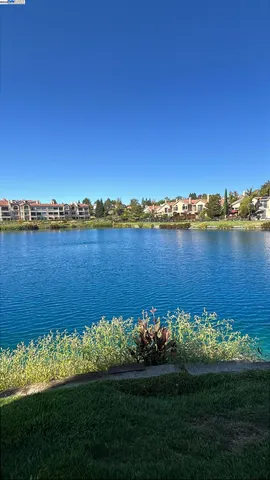 a view of an outdoor space and a yard