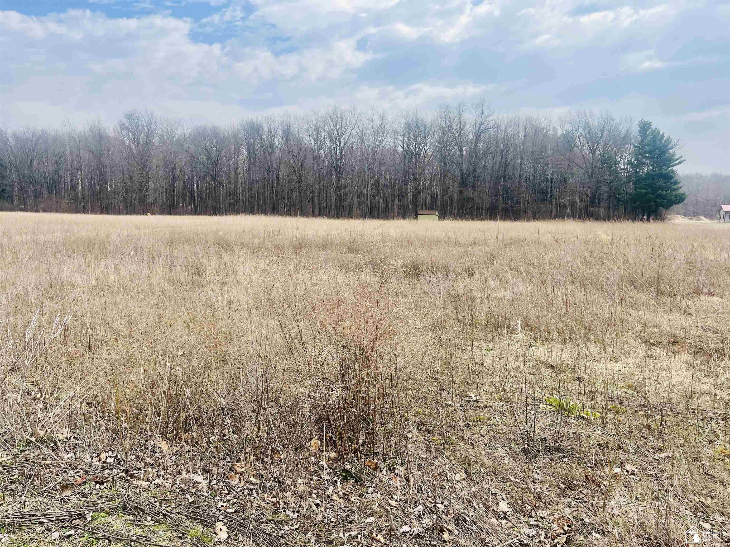 Townsend Road Maybee, MI 48159 - Photo 1 of 5