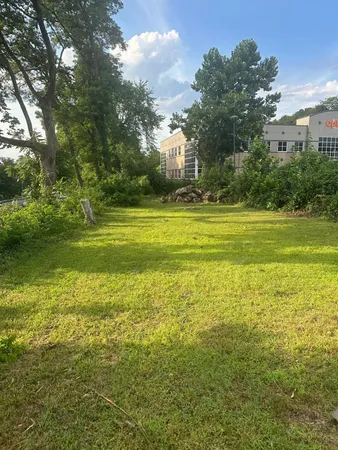 a large body of water with a big yard and large trees