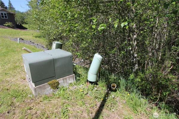 a view of a backyard