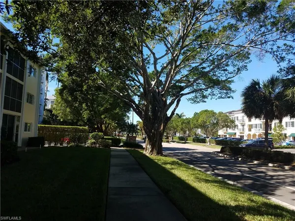 a view of a basket ball ground