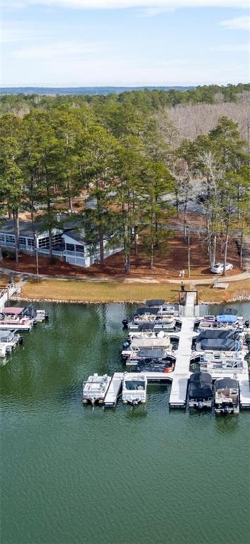 10036 Burford Court Villa Rica, GA 30180 - Photo 12 of 16 a view of a ocean with beach