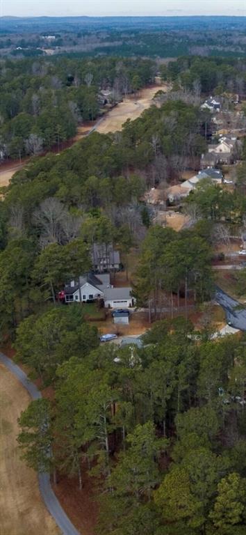10036 Burford Court Villa Rica, GA 30180 - Photo 2 of 16 an aerial view of residential houses with outdoor space and trees