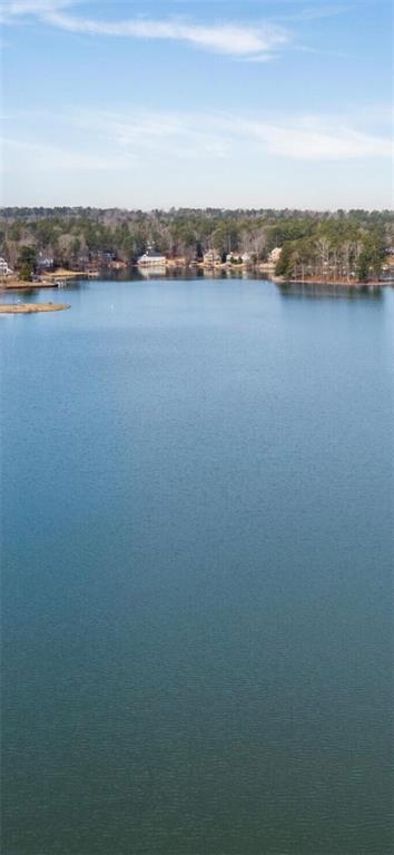 10036 Burford Court Villa Rica, GA 30180 - Photo 8 of 16 a view of an ocean