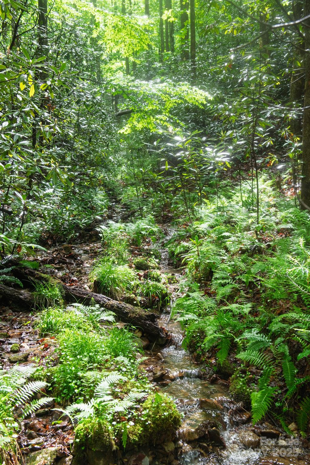 0 Rocky Top Road Lenoir, NC 28645 - Photo 11 of 18 a view of a garden