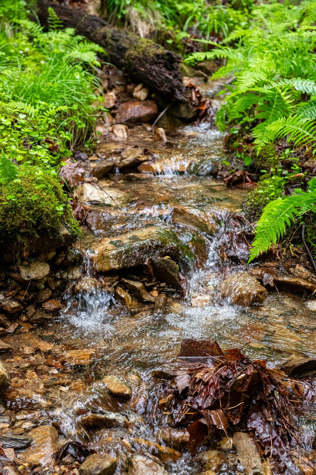 0 Rocky Top Road Lenoir, NC 28645 - Photo 12 of 18
