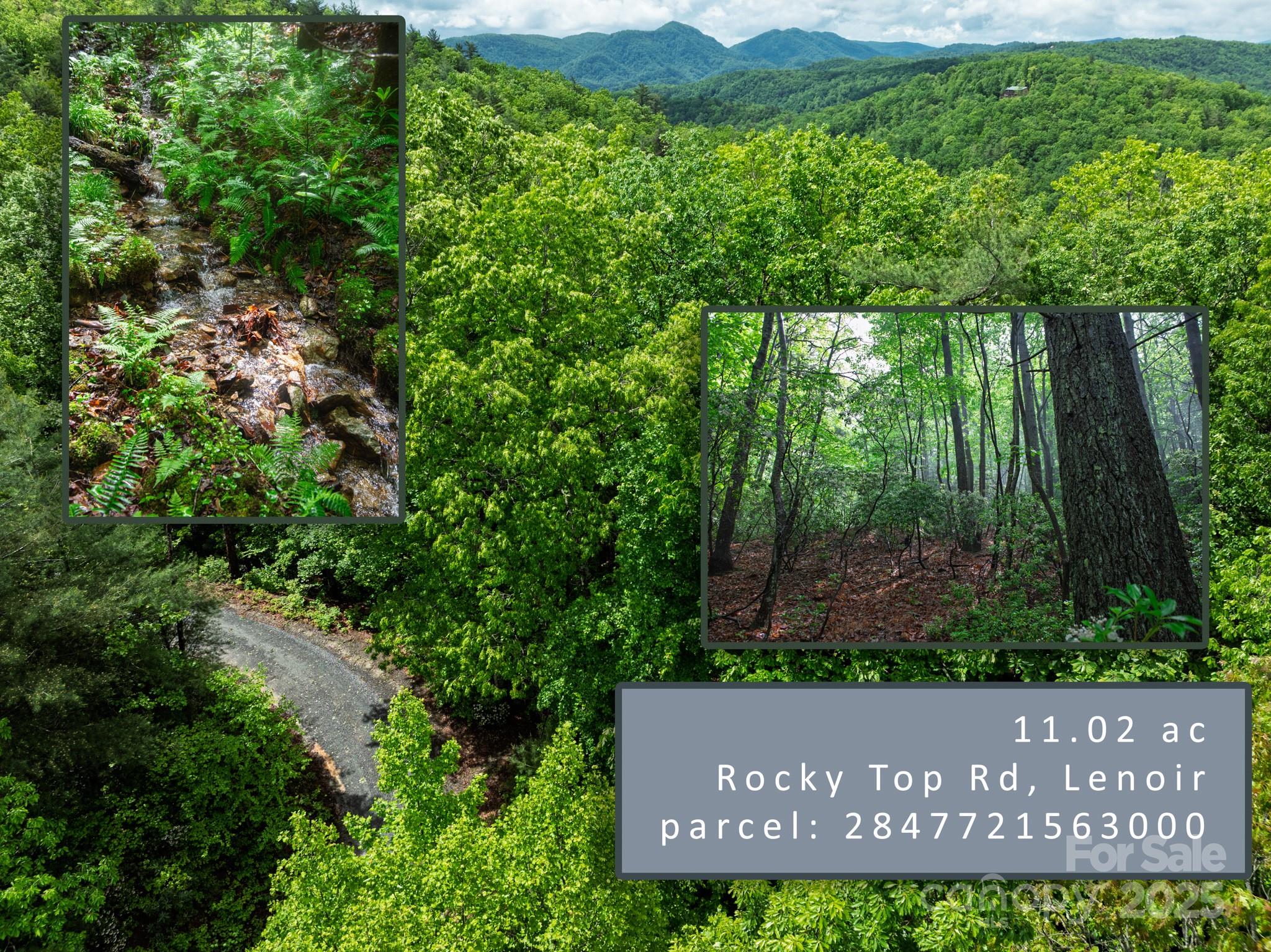 0 Rocky Top Road Lenoir, NC 28645 - Photo 14 of 18 a view of outdoor space with a garden and wooden fence