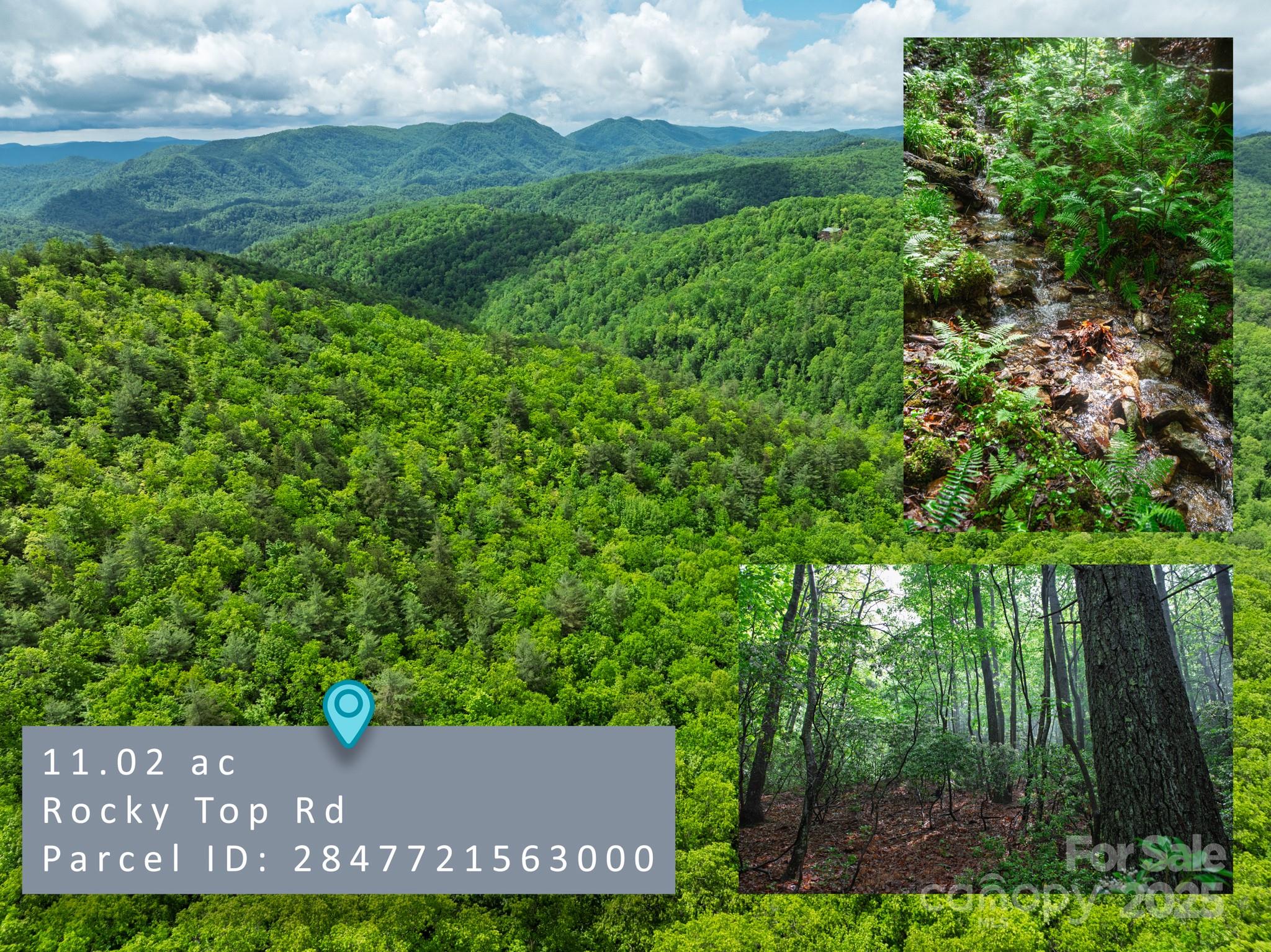 0 Rocky Top Road Lenoir, NC 28645 - Photo 15 of 18 a view of a big yard with potted plants and wooden fence