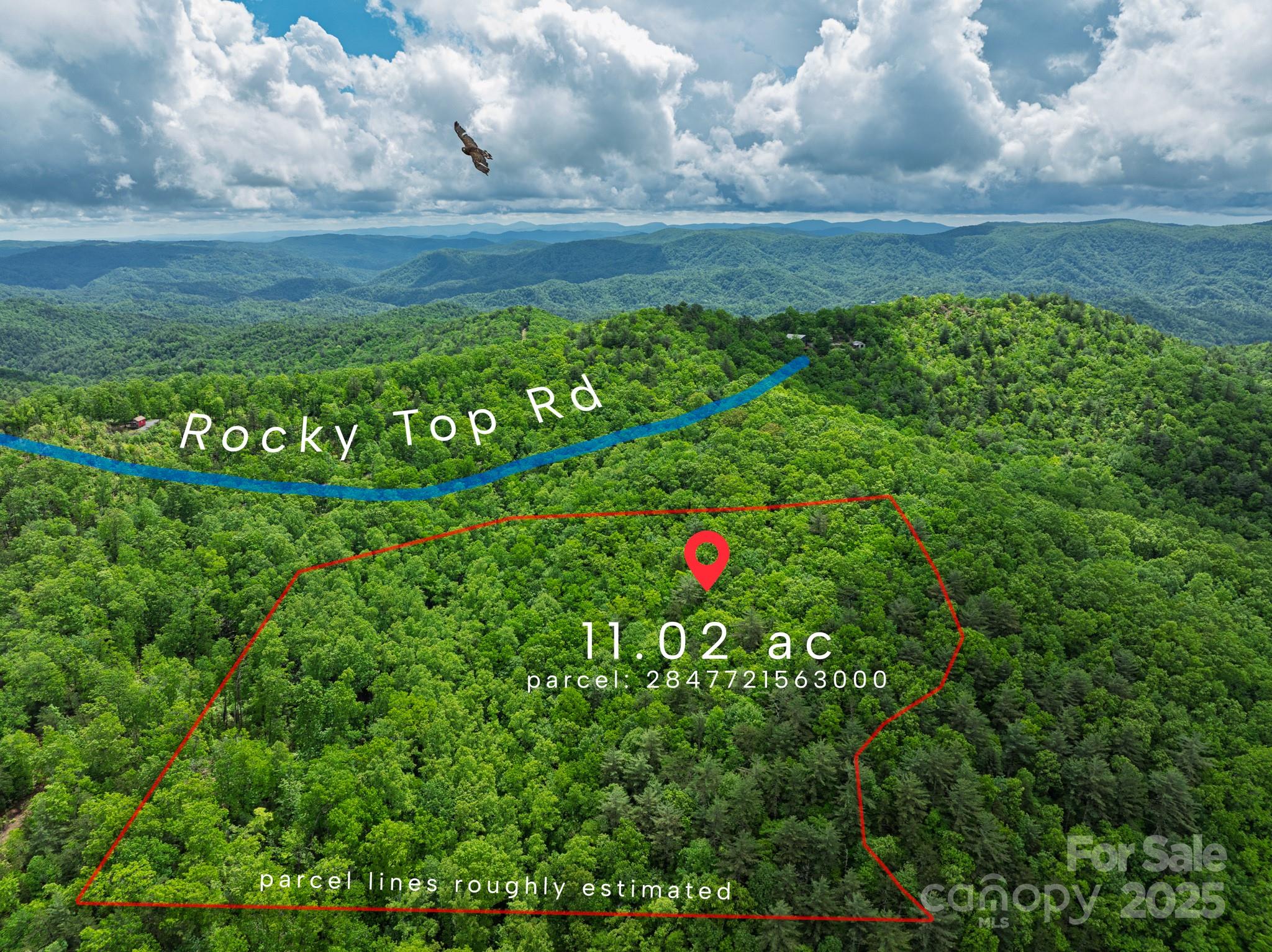 0 Rocky Top Road Lenoir, NC 28645 - Photo 17 of 18 a view of a bunch of plants and flowers
