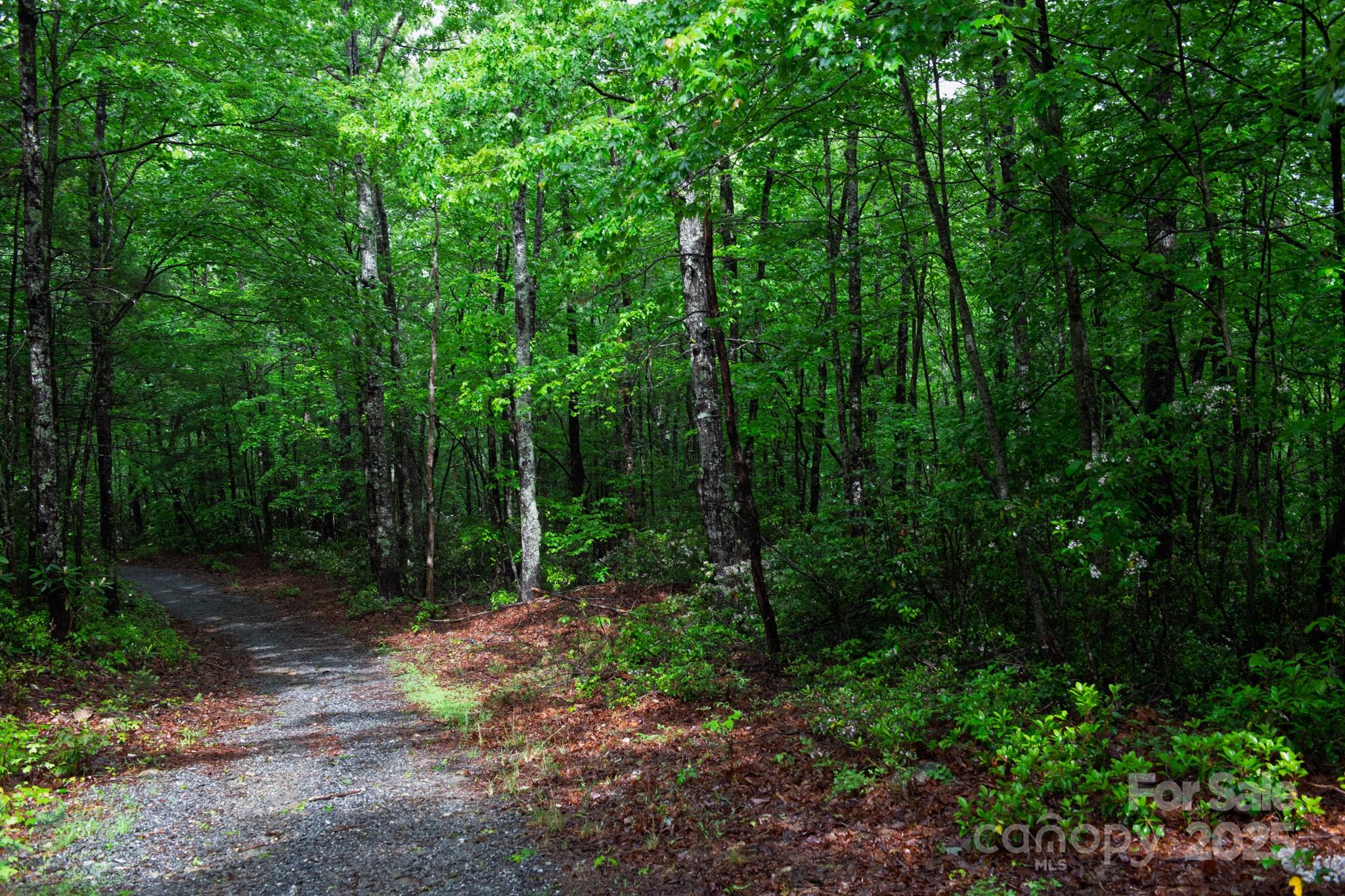 0 Rocky Top Road Lenoir, NC 28645 - Photo 2 of 18 a view of outdoor space and green space