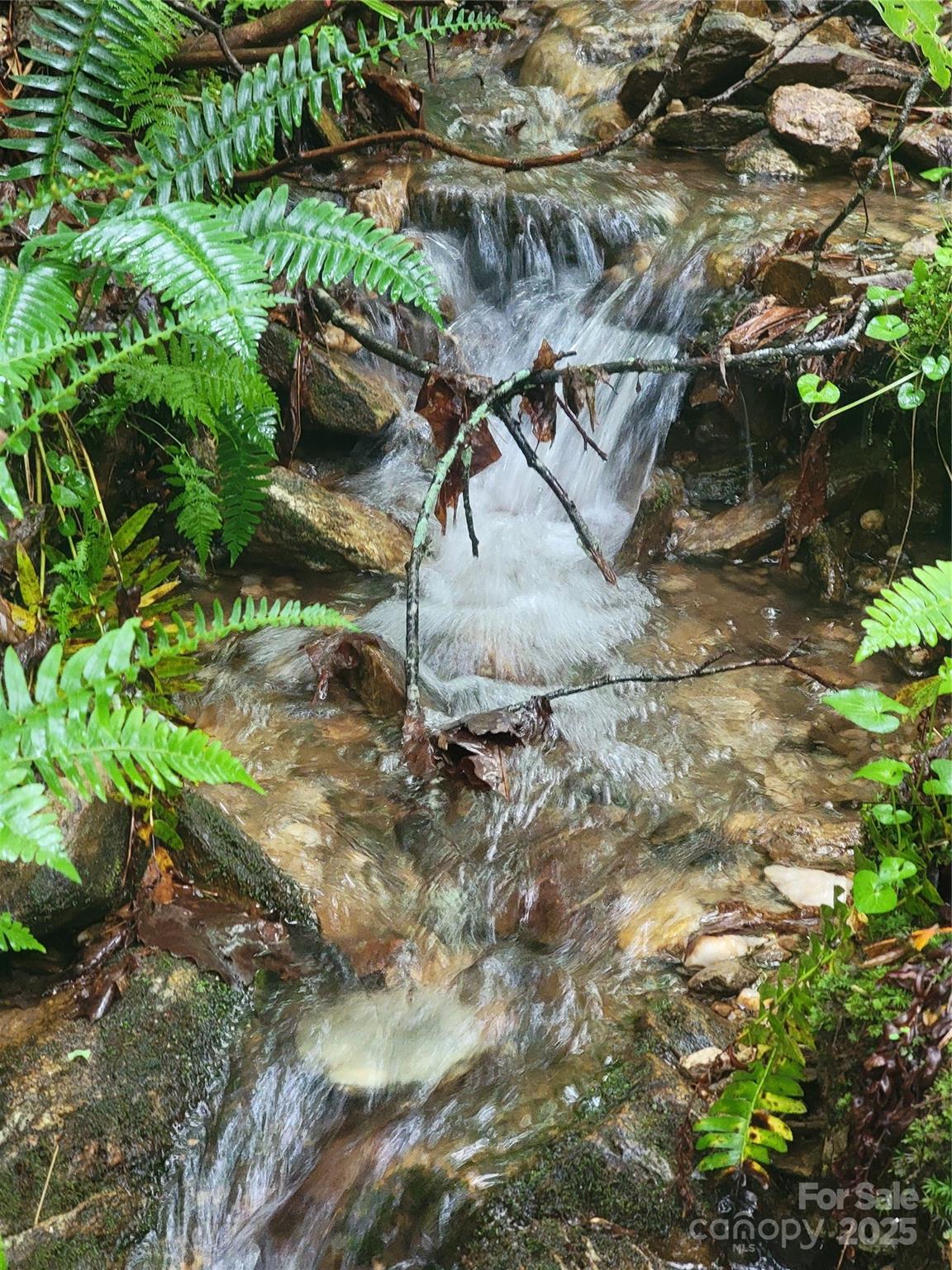 0 Rocky Top Road Lenoir, NC 28645 - Photo 4 of 18 a view of a tree with a yard